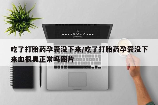 流产药吃了打胎药孕囊没下来/吃了打胎药孕囊没下来血很臭正常吗图片